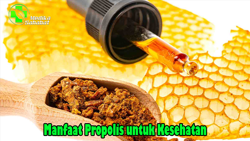 Manfaat Propolis untuk Kesehatan