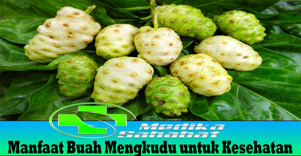 Manfaat Buah Mengkudu untuk Kesehatan