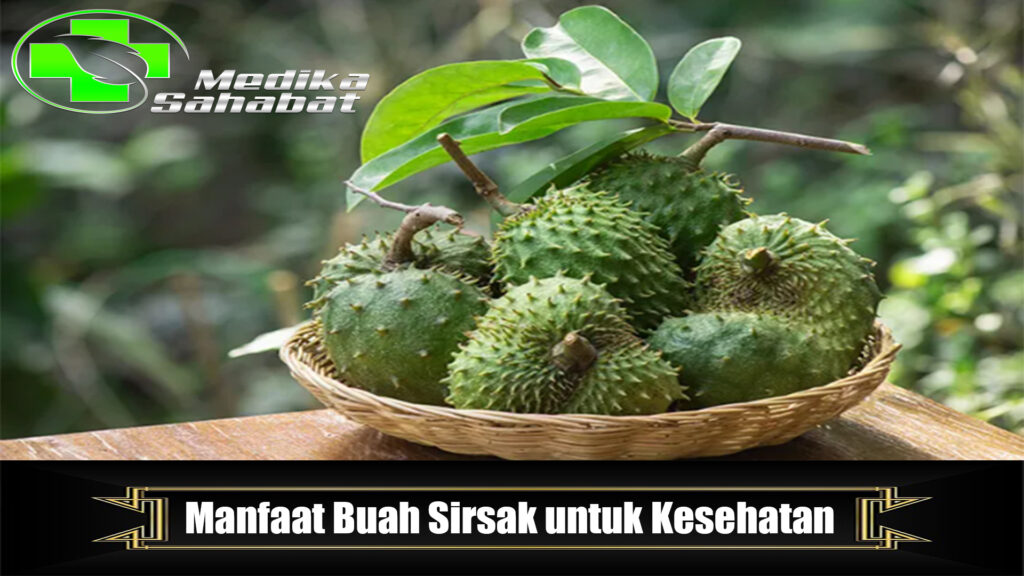 Manfaat Buah Sirsak untuk Kesehatan