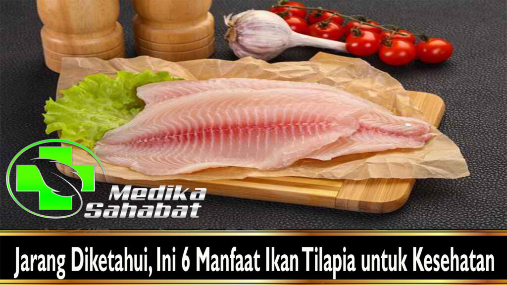 Jarang Diketahui, Ini 6 Manfaat Ikan Tilapia untuk Kesehatan