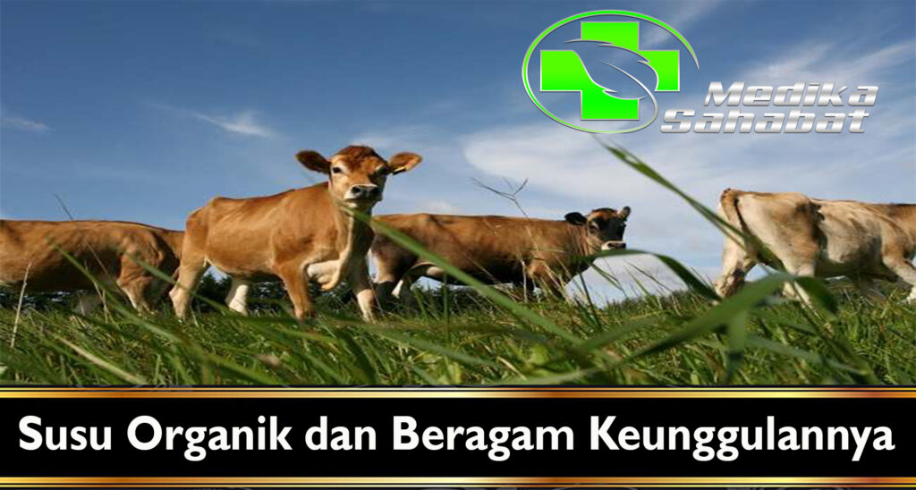 Susu Organik dan Beragam Keunggulannya