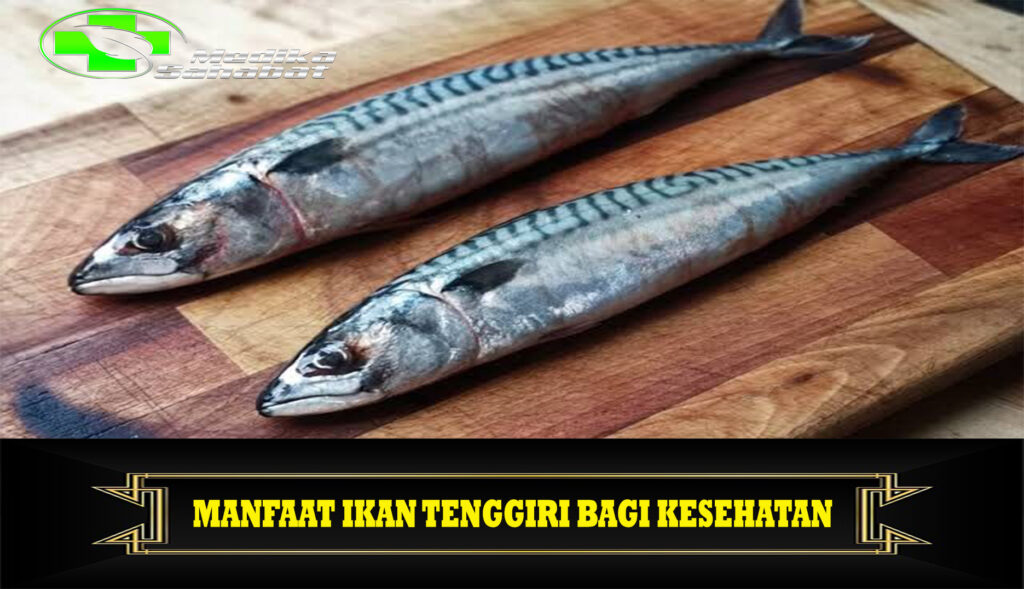 Manfaat Ikan Tenggiri bagi Kesehatan