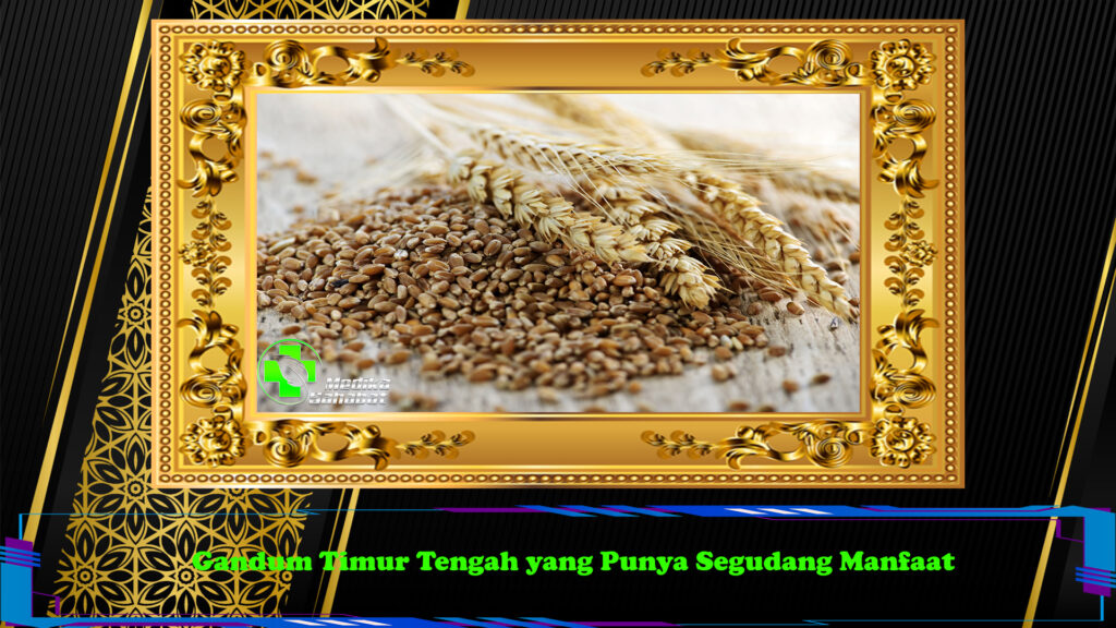 Gandum Timur