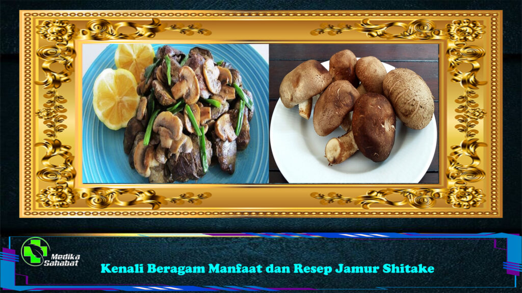 Kenali Beragam