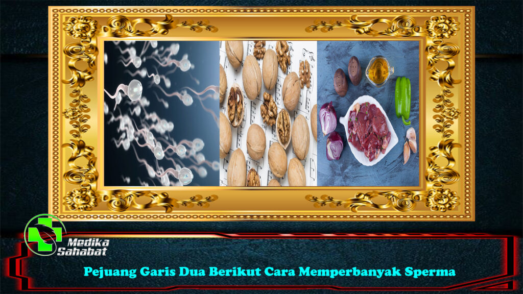 Pejuang Garis