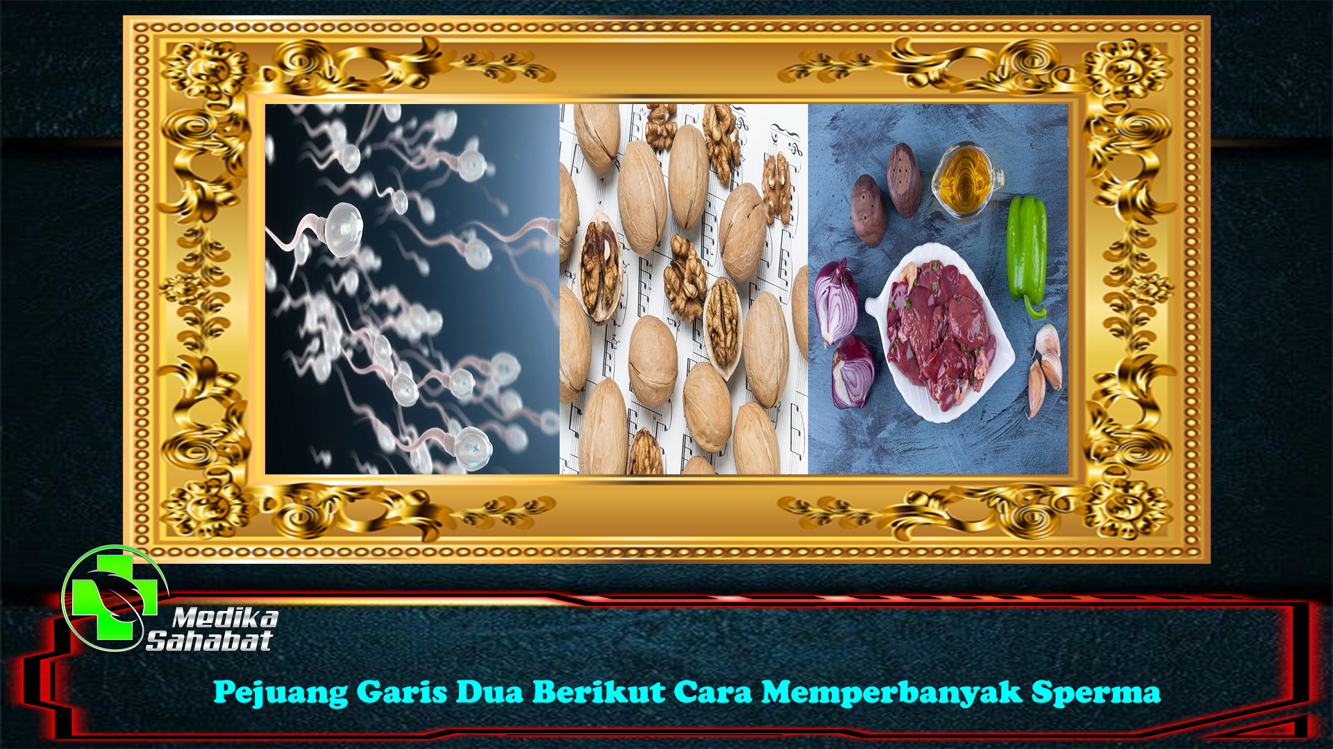 Pejuang Garis