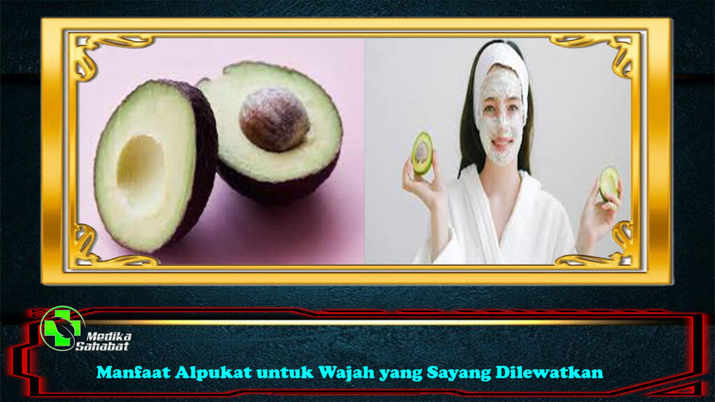 Manfaat Alpukat