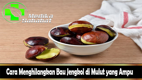 Cara Menghilangkan Bau Jengkol di Mulut yang Ampu