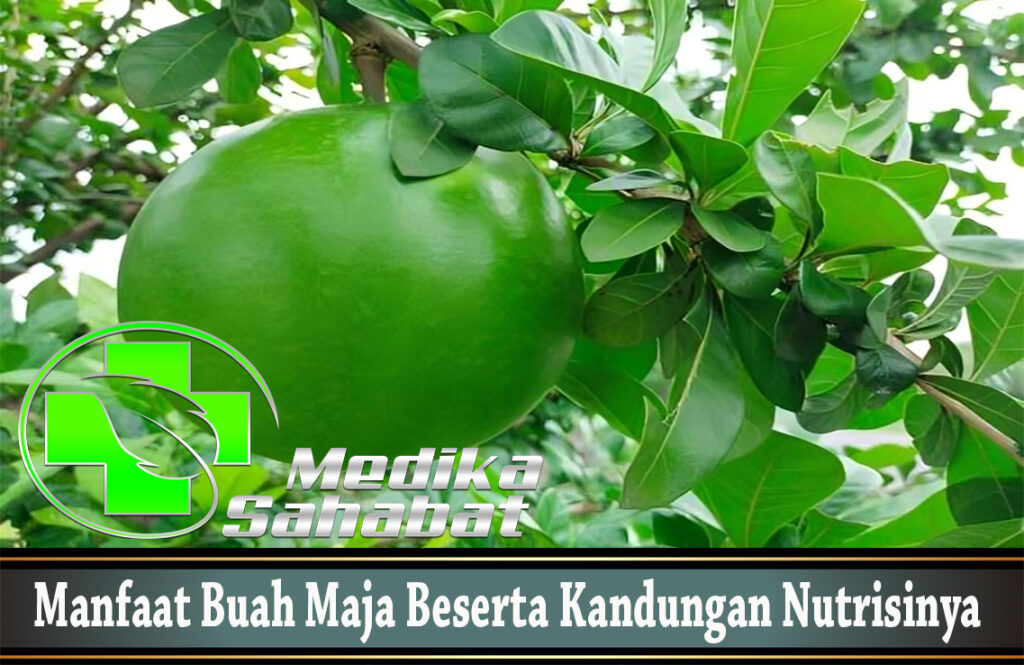 Manfaat Buah Maja Beserta Kandungan Nutrisinya