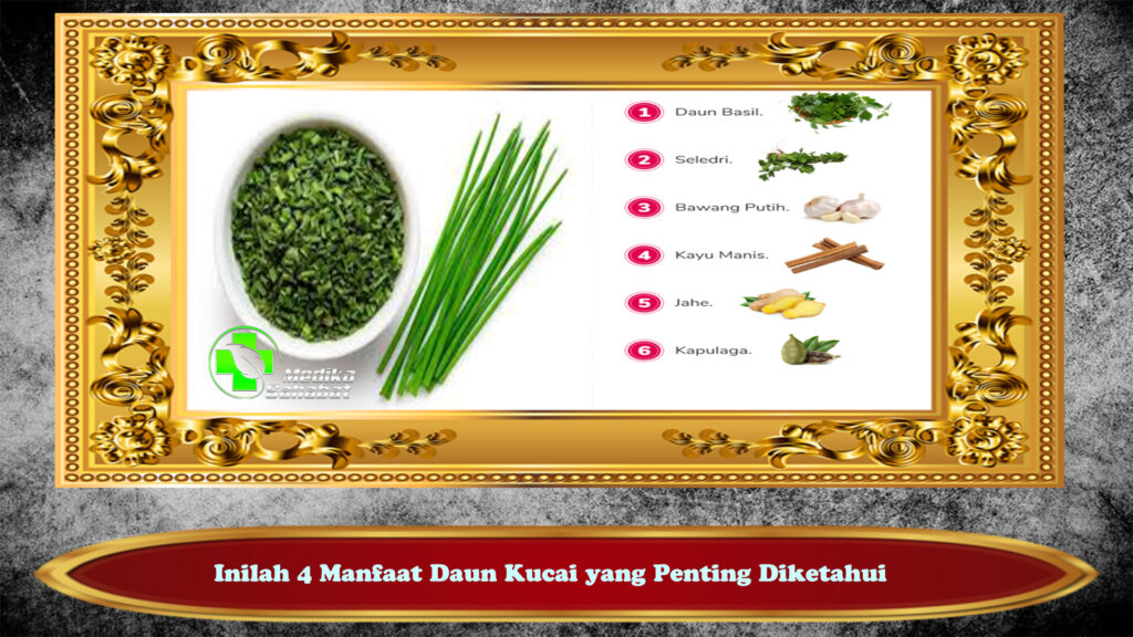 Inilah