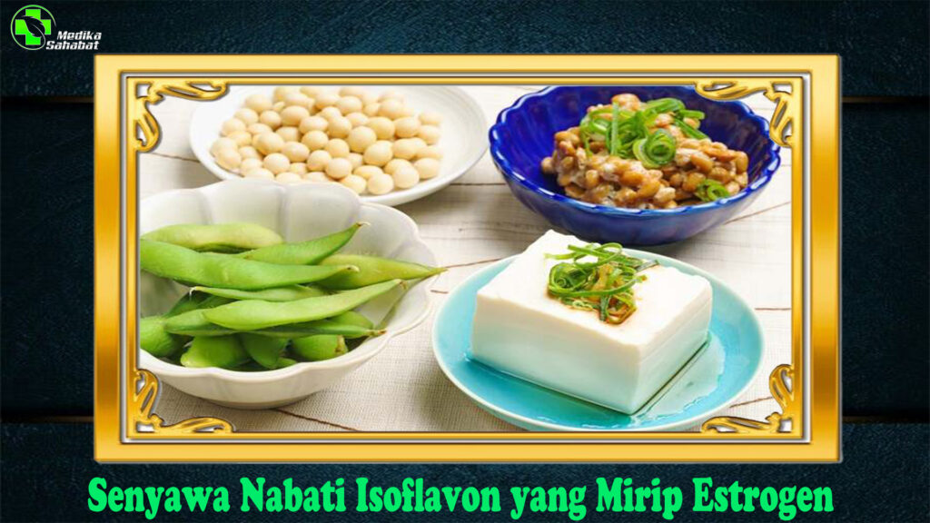 Senyawa Nabati Isoflavon yang Mirip Estrogen