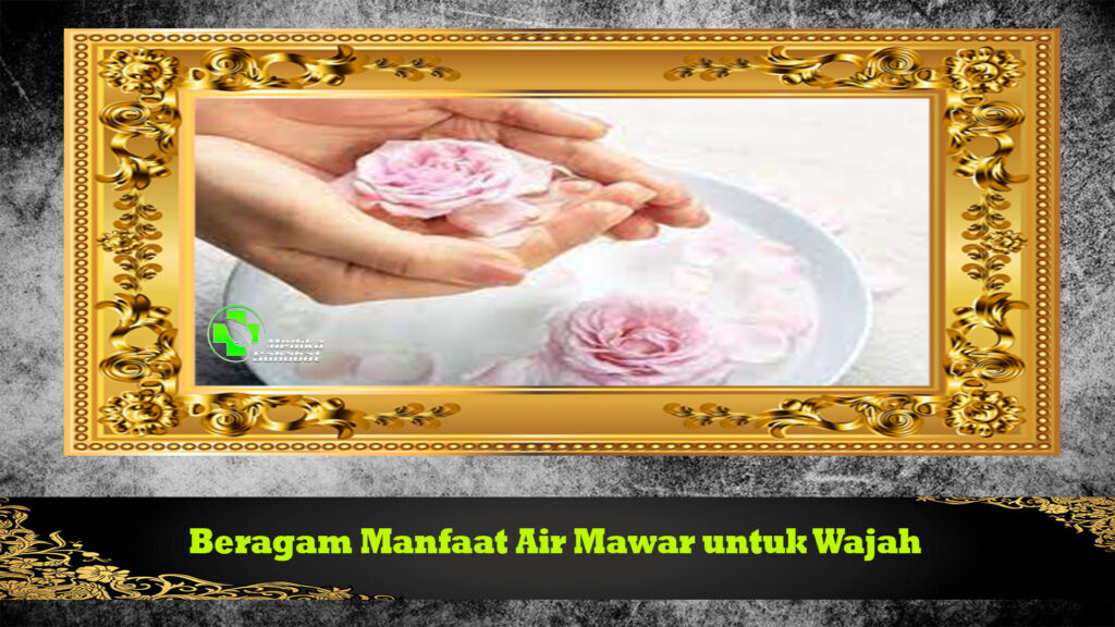 Beragam Manfaat Air Mawar