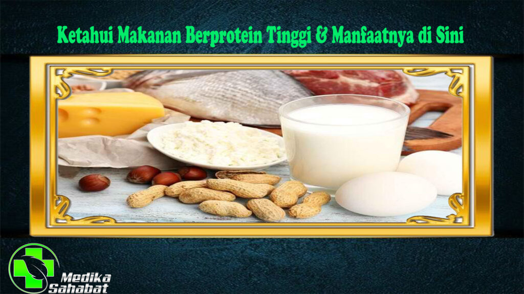 Ketahui Makanan Berprotein Tinggi & Manfaatnya di Sini