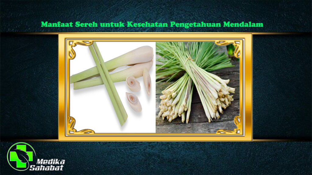 Manfaat Sereh untuk Kesehatan Pengetahuan Mendalam