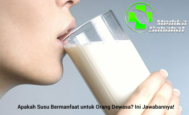 Apakah Susu Bermanfaat untuk Orang Dewasa? Ini Jawabannya!